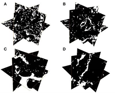 Nematodes and Microorganisms Interactively Stimulate Soil Organic Carbon Turnover in the Macroaggregates